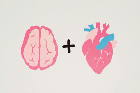 brain and heart - Hunghee Energy omega-3's blog