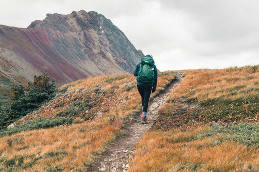 hiker on an alpine trail carrying a pack, powered by animal-based fuel
