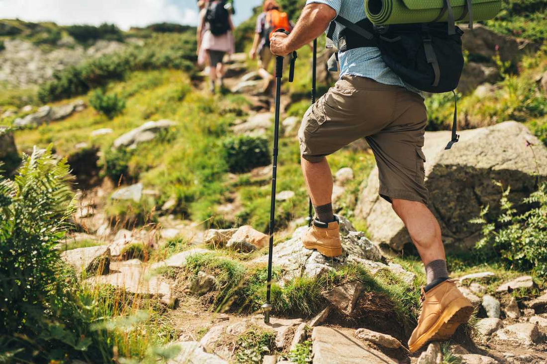 Hikers climbing a rocky alpine trail with trekking poles and backpacks, hiking.