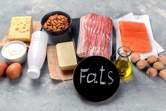 Assorted high-fat foods like salmon, bacon, cheese and nuts on a table, animal-based