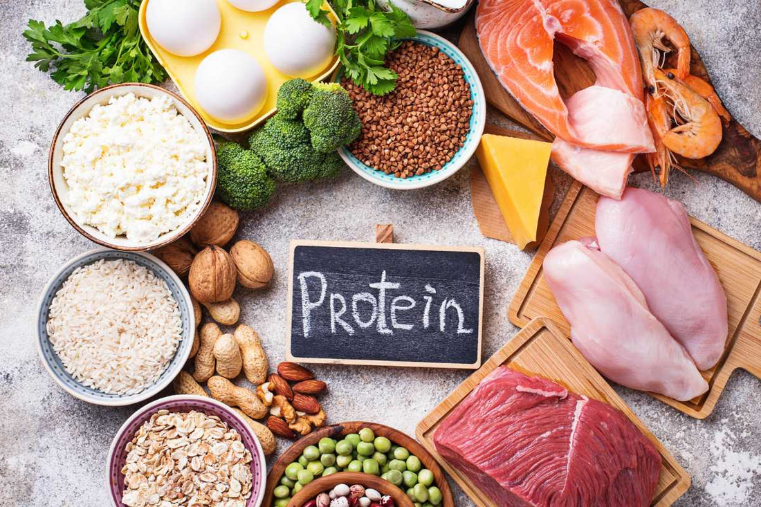 Assorted protein foods with meat, fish, eggs, beans and nuts around a “Protein” sign, animal-based